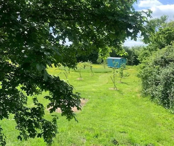 Woodpecker Shepherd Hut With Private Facilities Newmarket Cb8