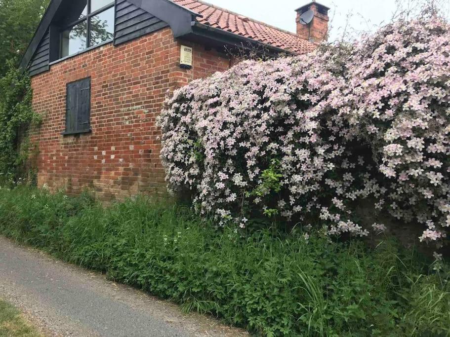 Apartment Woodpecker Shepherd Hut With Private Facilities Newmarket Cb8 Cambridge (Cambridgeshire)
