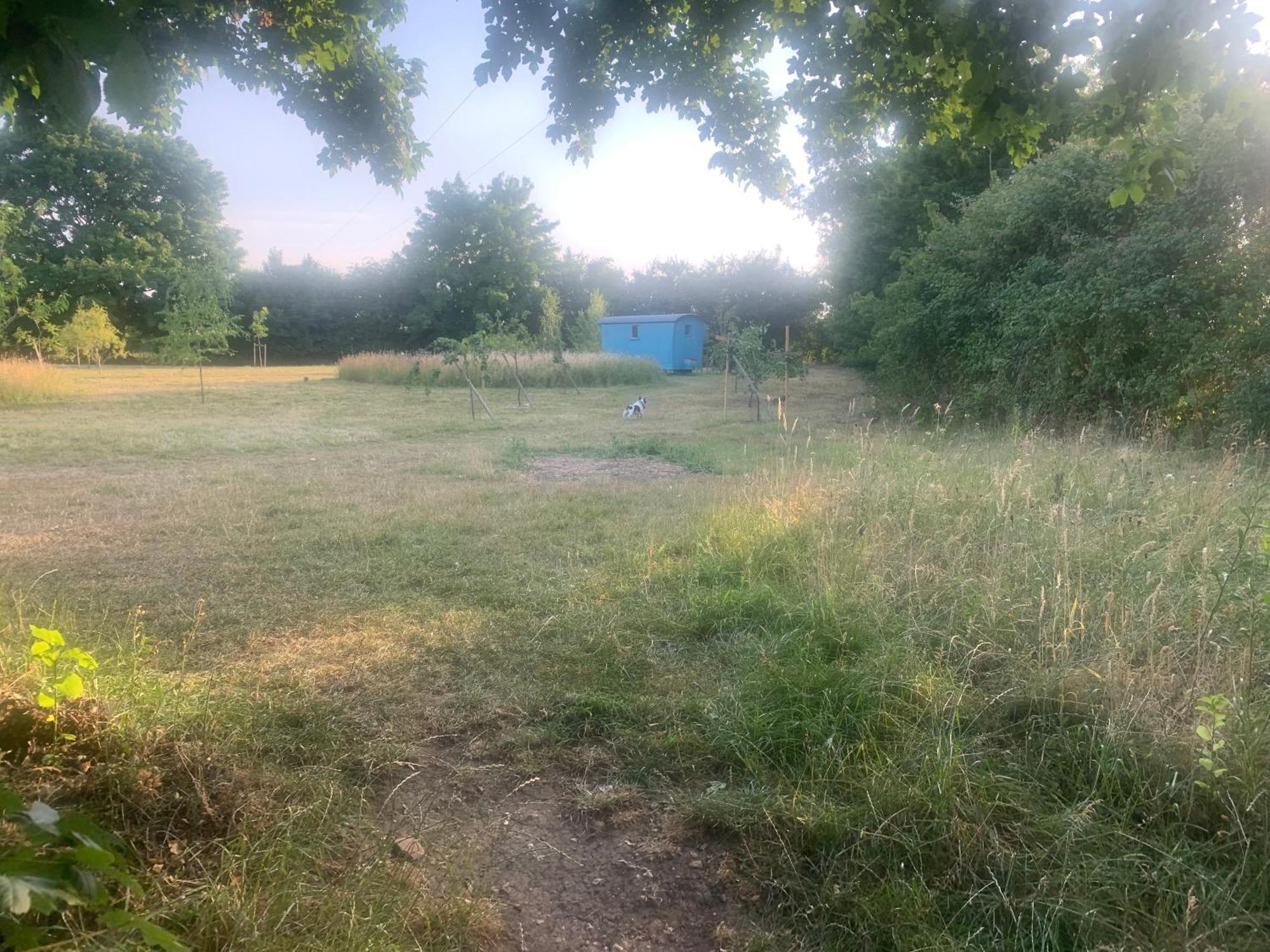 Woodpecker Shepherd Hut With Private Facilities Newmarket Cb8 Cambridge (Cambridgeshire)